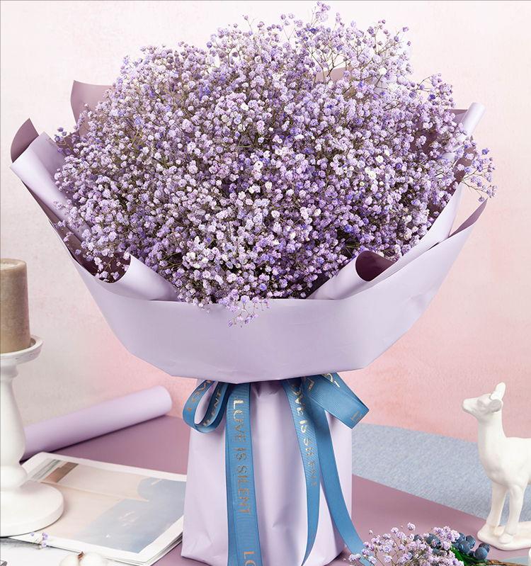 100种常见花花语及图片,各个花的花语大全及图片