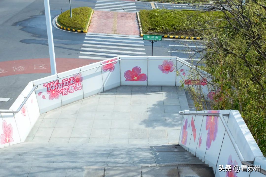 苏州赏花的地方,苏州三月中旬赏花去处