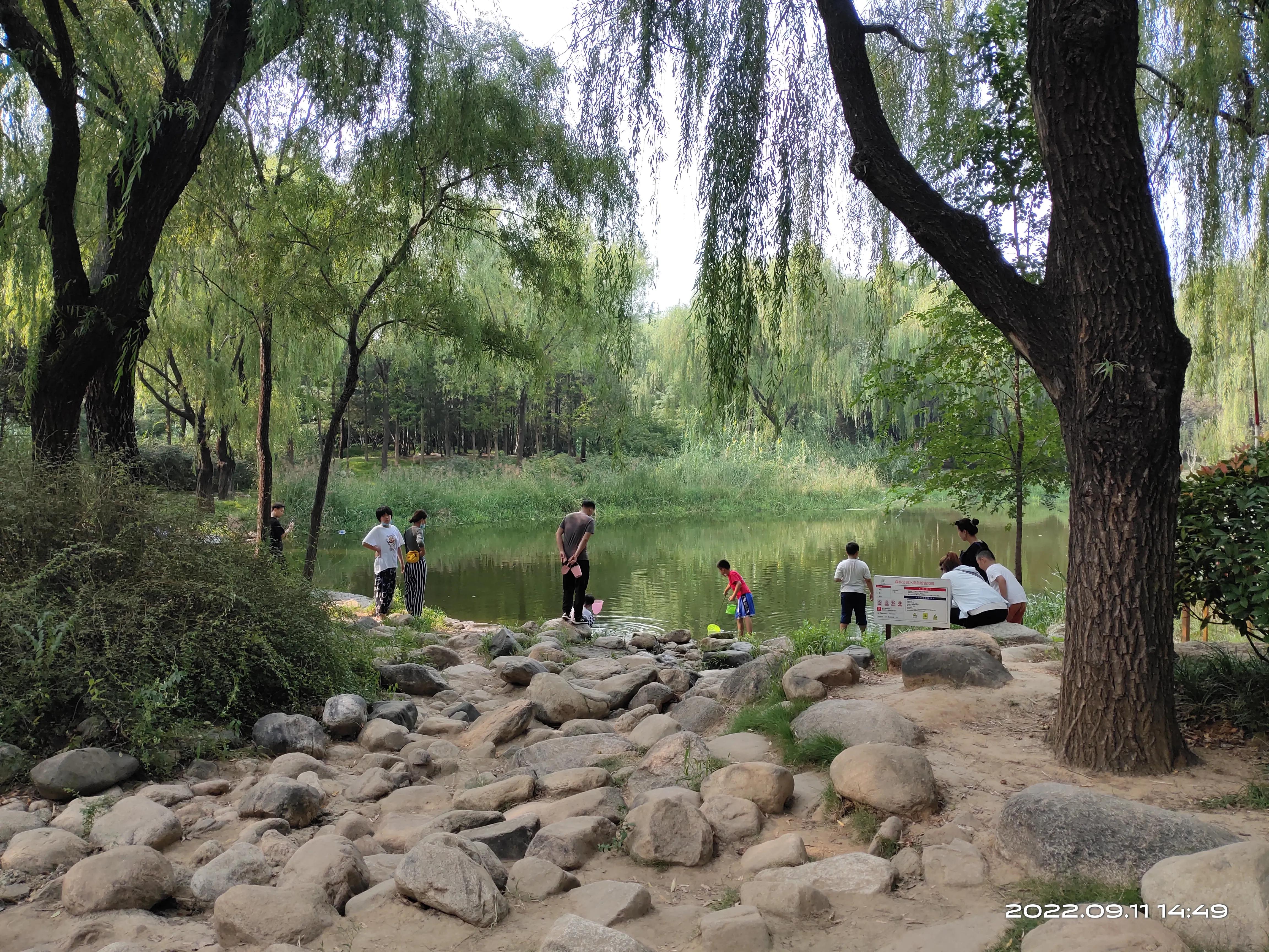 济南森林公园,济南森林公园周边游玩