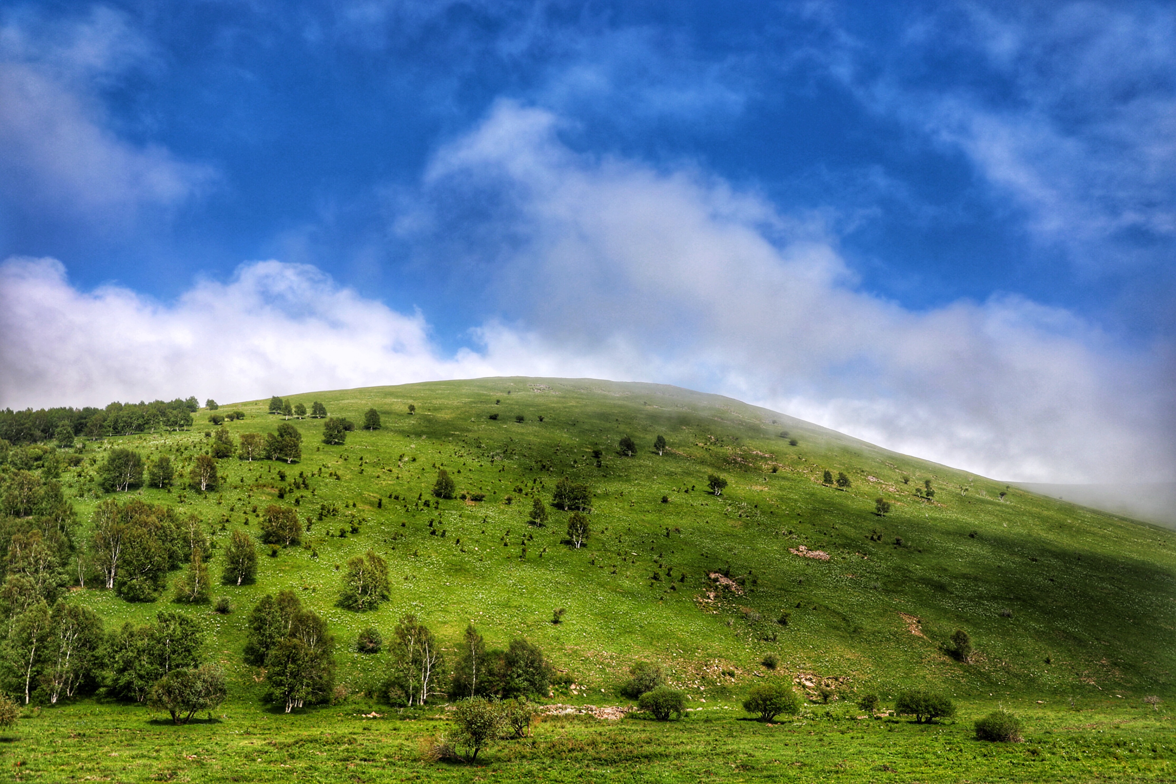 五一假期人从众出游,五一出游人从众何去何从