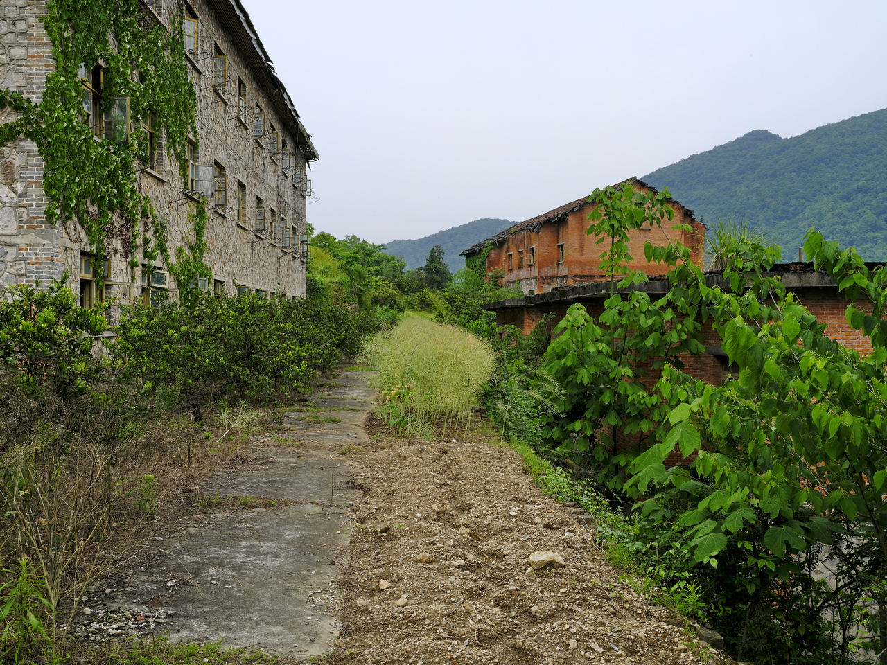 宜都717三线工厂,宜都717厂历史