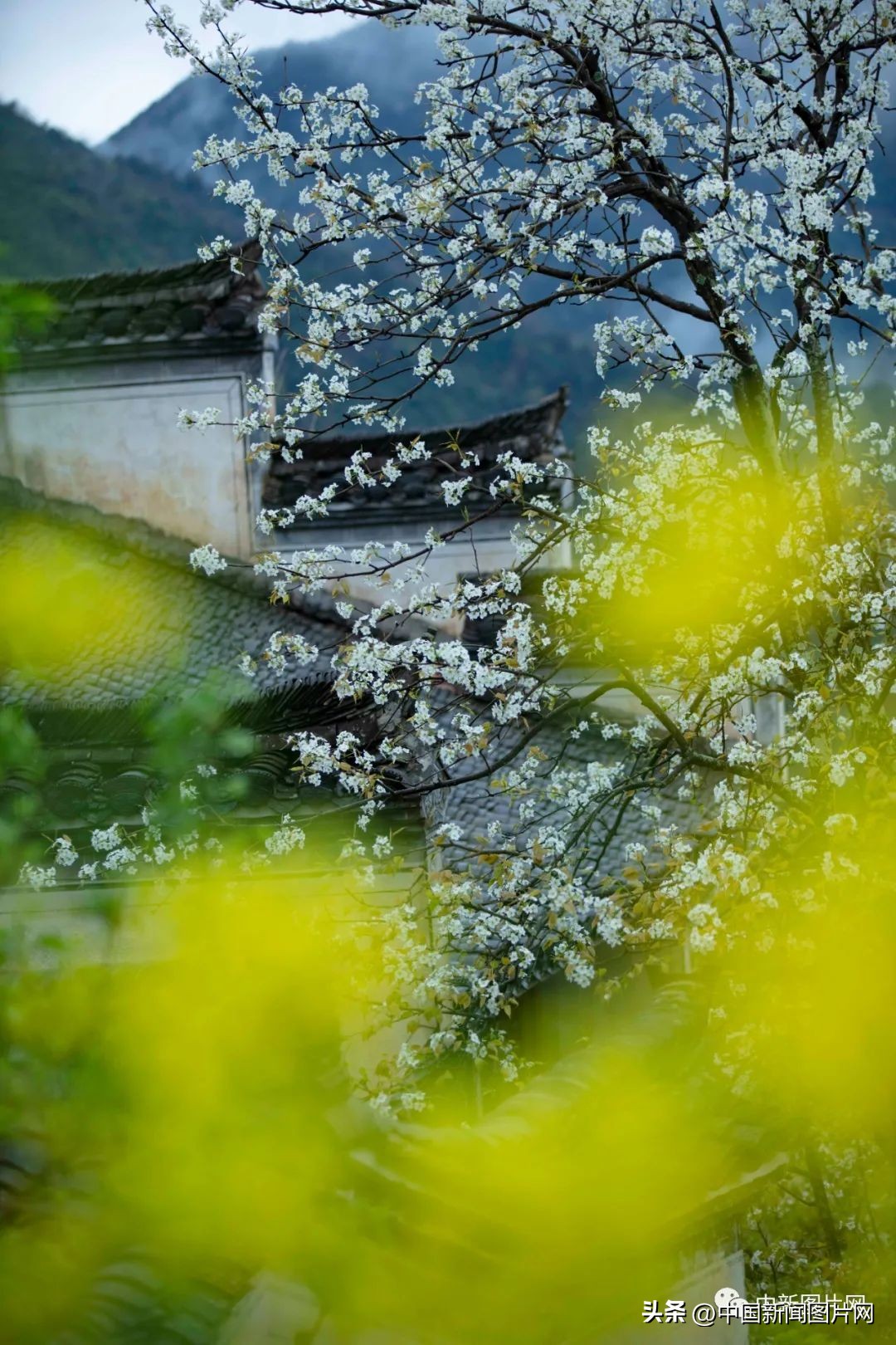 招募！荷赛大师带您记录“美丽中国美丽婺源”