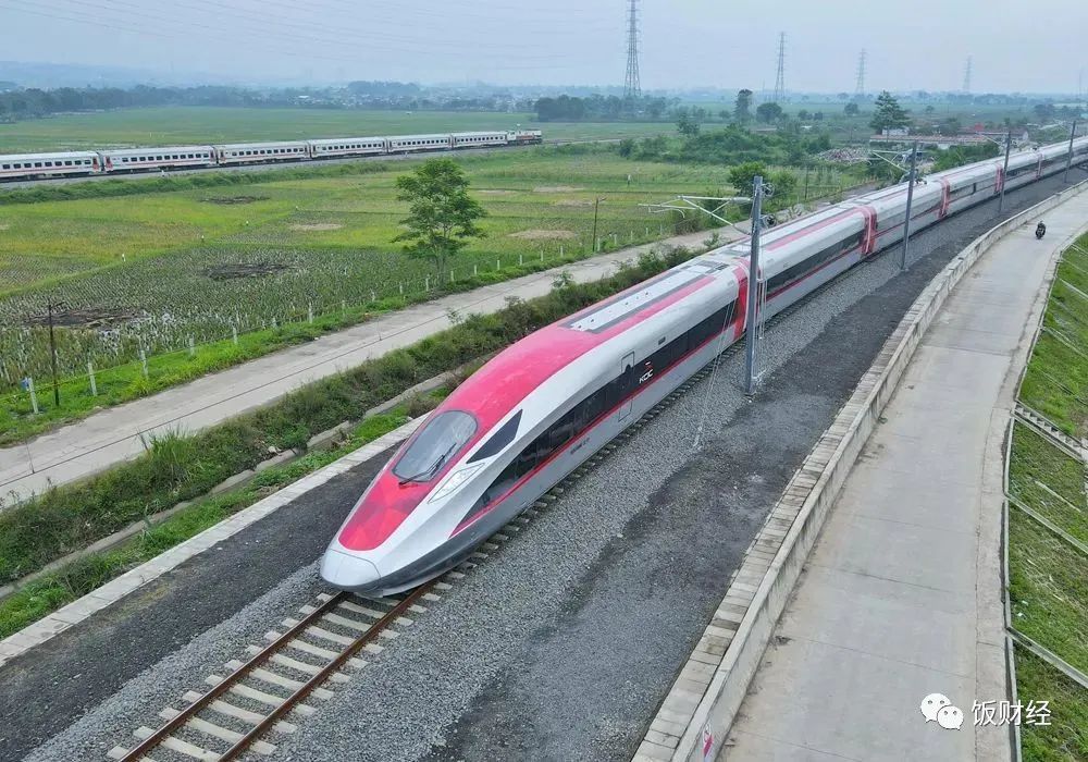 卡塔尔世界杯在冬季开幕，各类感冒药遭到国人抢购|每周热点回顾