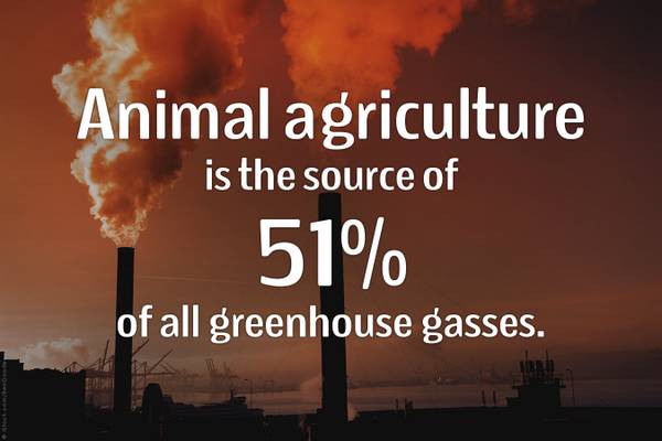 你不知道的英国女王：一位硬核环保主义者