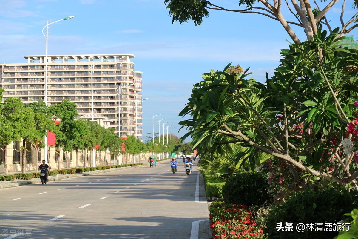 东北人为什么扎堆海南,海南三亚东北人为什么那么多