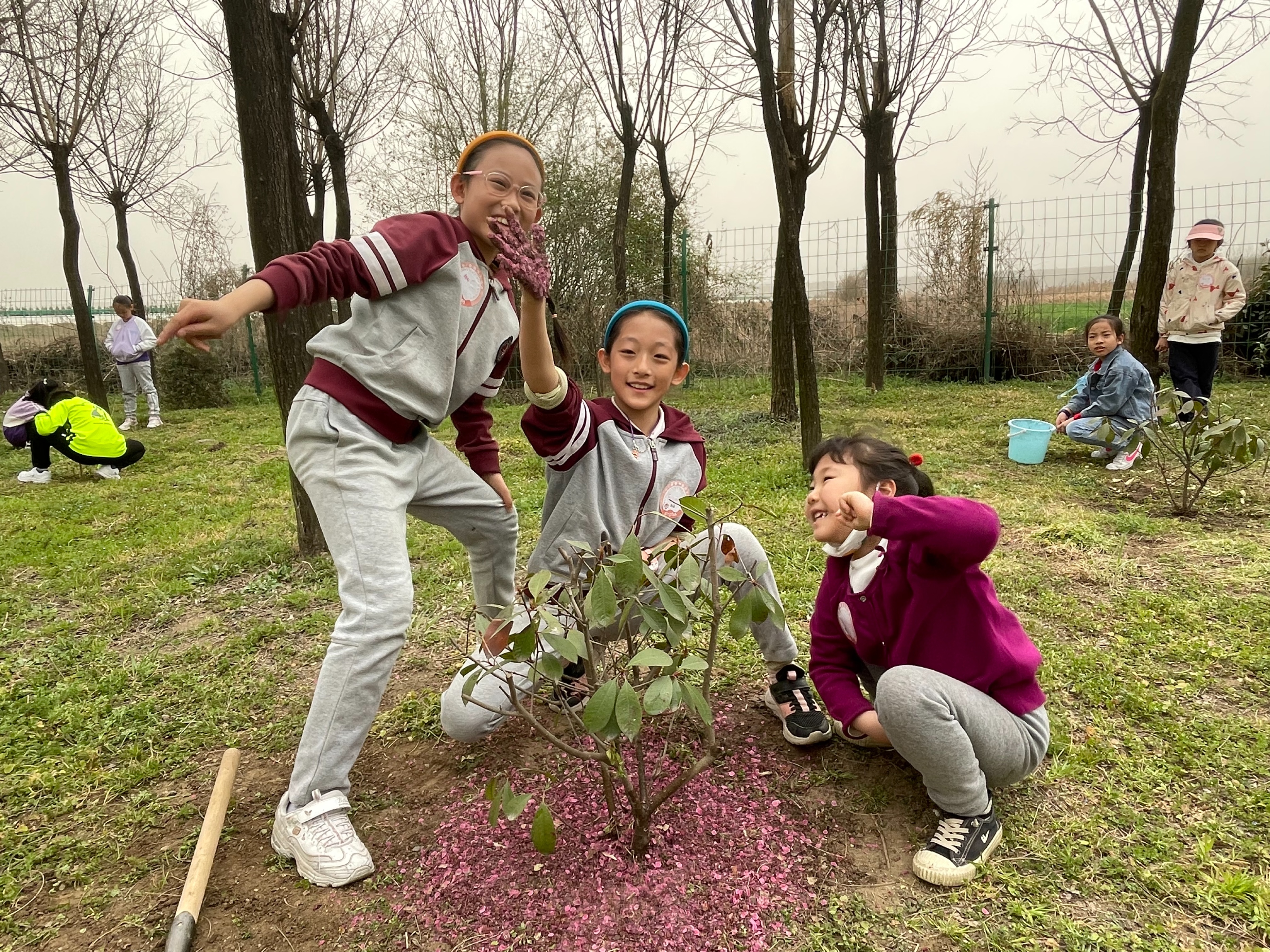 植树节iEnglish双语社会实践系列活动在西安成功举办