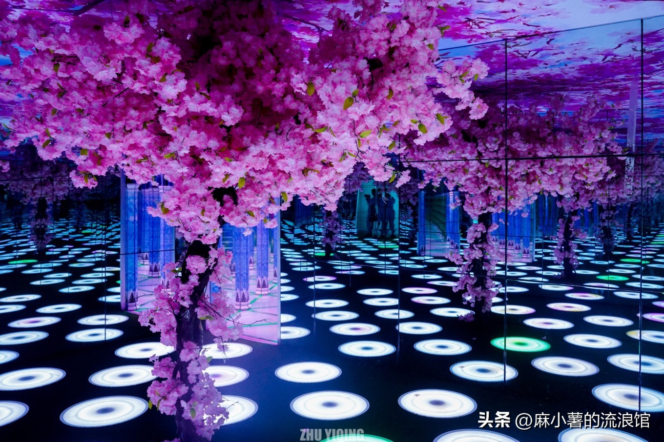 杭州桐庐大奇山二日游,杭州避暑胜地一日游