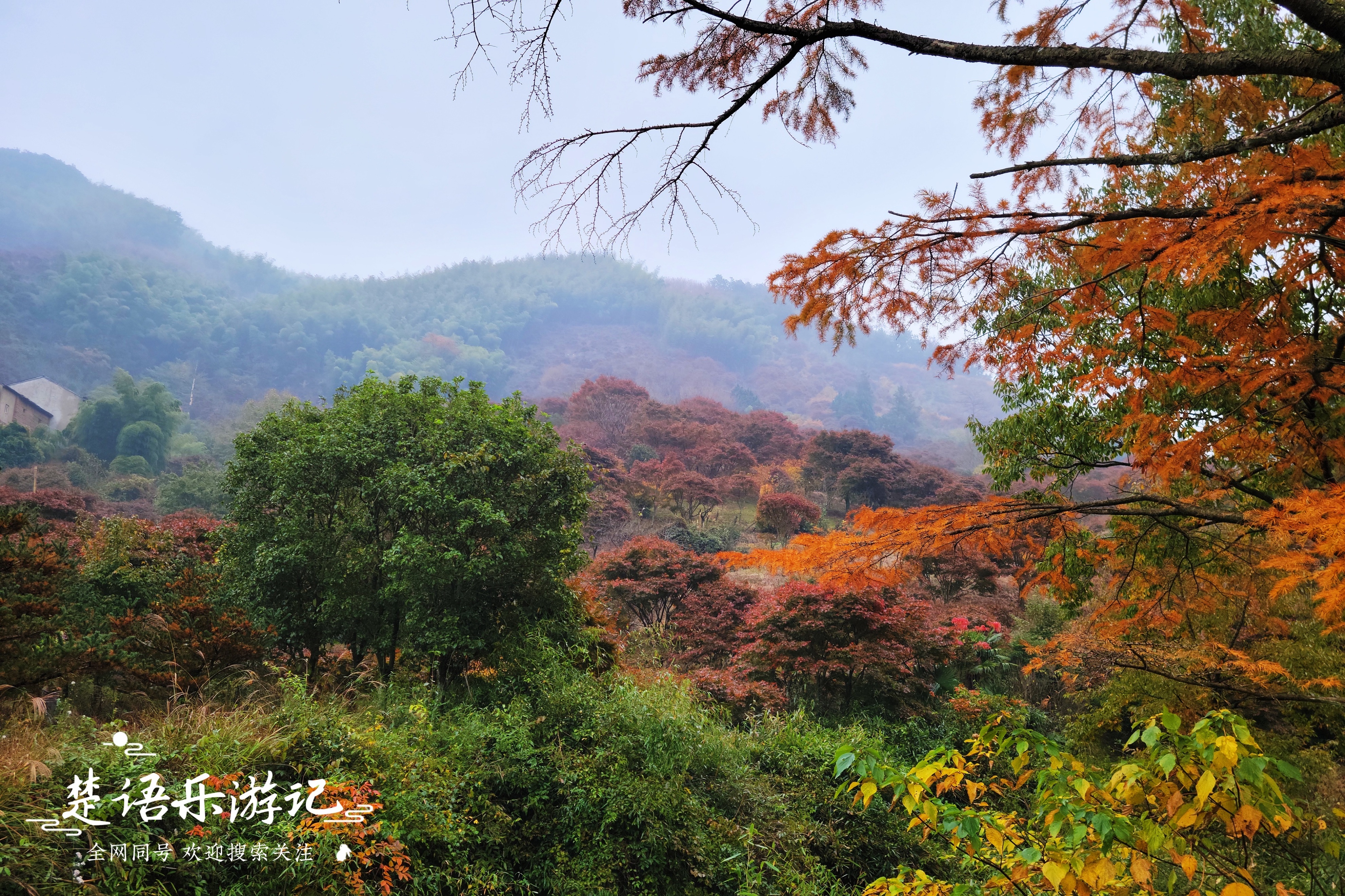 浙江宁波发现一处避世桃源，名字充满传说，景色如画堪称游玩佳地