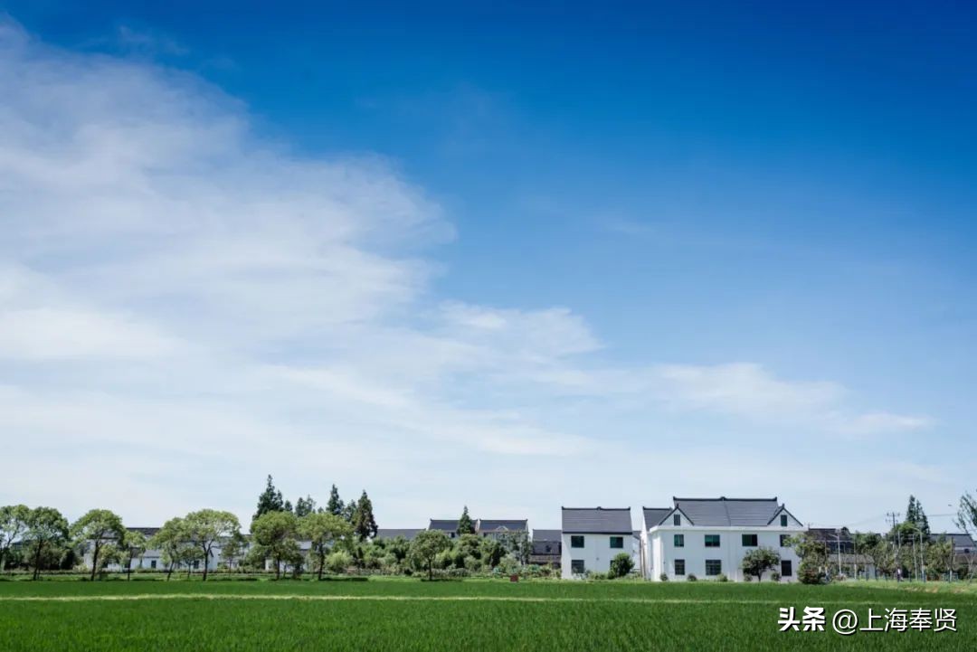 九月的第一天阳光灿烂,九月的第一天有点甜