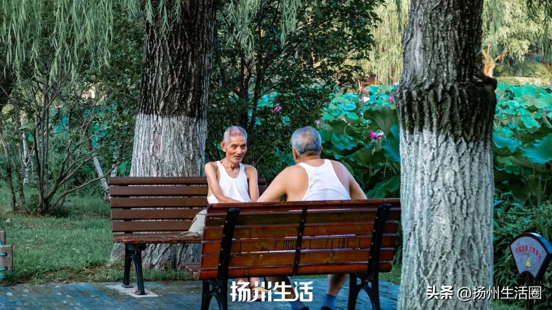 扬州夏天最热多少度,扬州苏州夏天哪个热