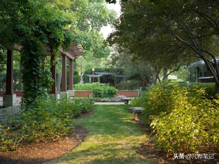 哈苏x2d100c视频,哈苏x2d100c与50c区别