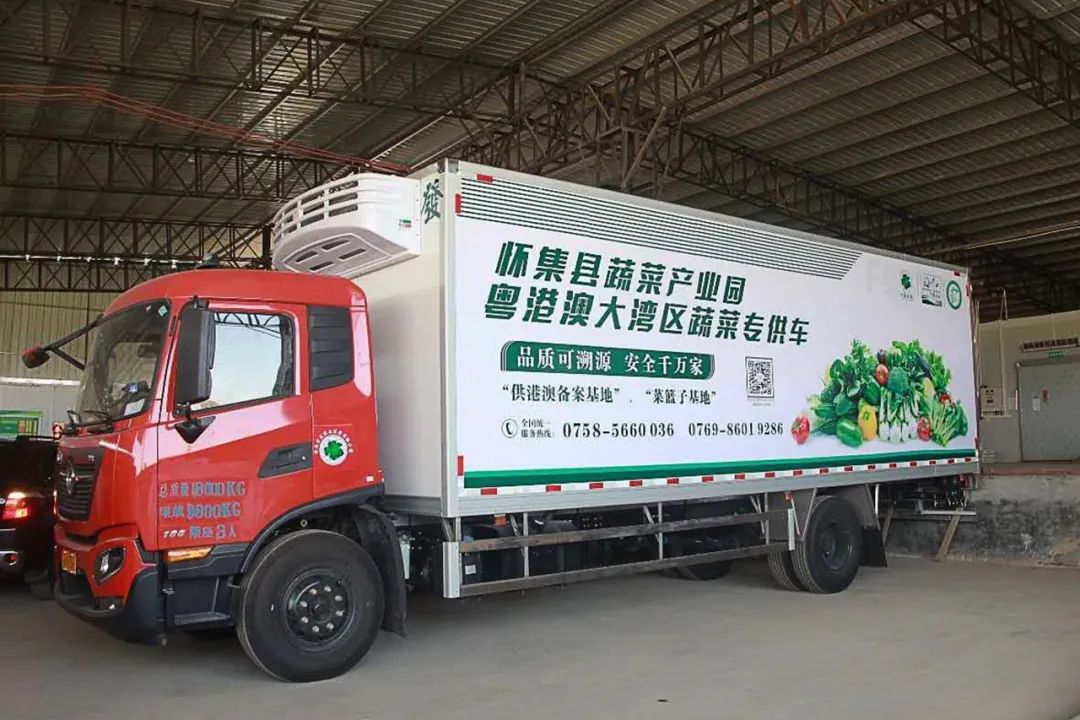 怀集经济指标,谋新篇布新局启新航主题党日活动