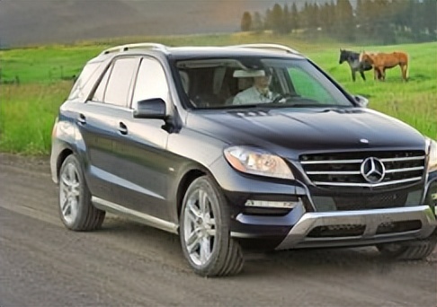 蒋欣和孙俪刘涛的新闻,蒋欣孙俪刘涛快乐大本营