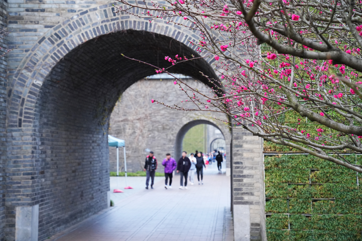 扬州值得去的森林公园,扬州十大免费公园