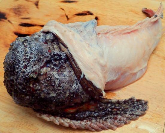 十种颜值最高的鱼,这些长相奇怪的鱼你认识几条