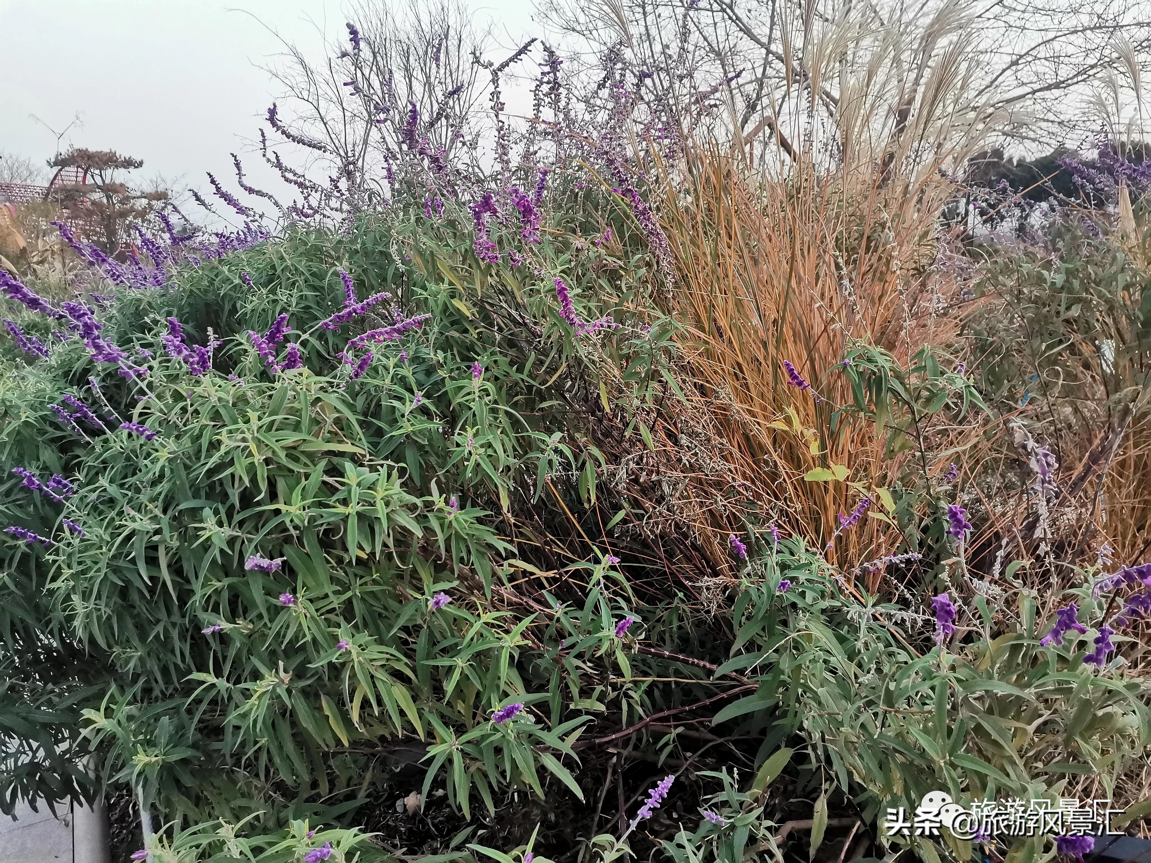 郑州带娃打卡好去处免费公园,郑州北龙湖湿地公园网红打卡圣地