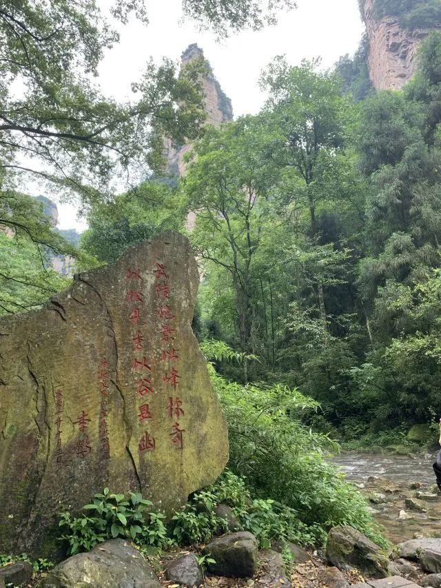 张家界旅游推荐景点大全,张家界武陵源旅游攻略最新