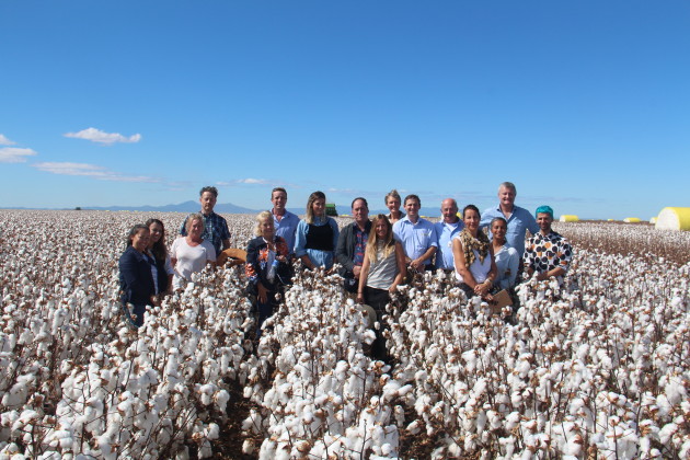 澳大利亚棉花分布在哪,全球棉花亩产最高的国家