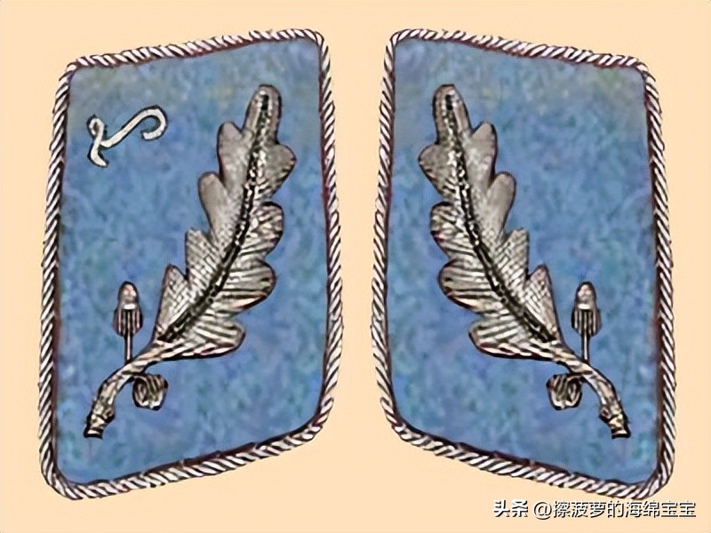 纳粹冲锋队用的什么枪,纳粹德军军衔图解