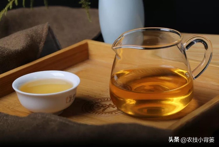 春天喝红茶还是绿茶好,春天适合喝什么红茶绿茶