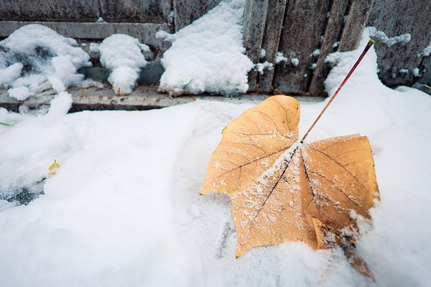佳能16-35mm2.8f镜头一代评测,佳能rf15-35f2.8镜头值不值得买