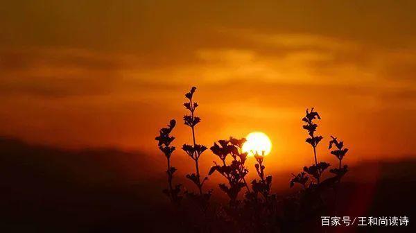 王和尚作品,王和尚书画家