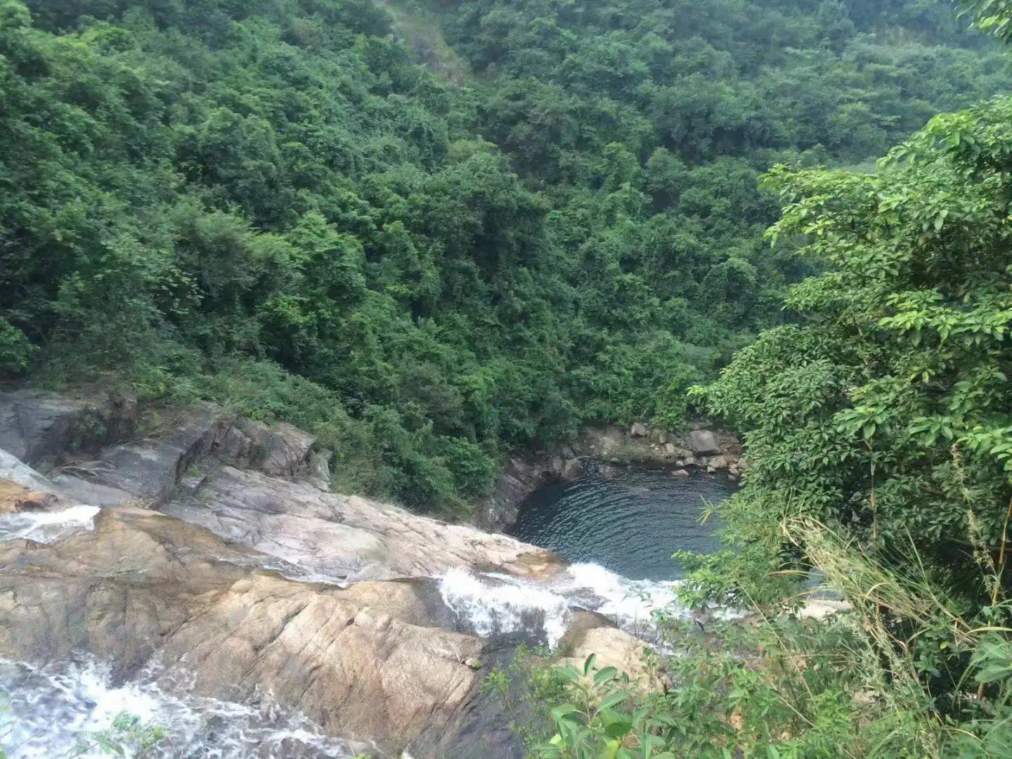 散文议论句子摘抄,荔枝的散文