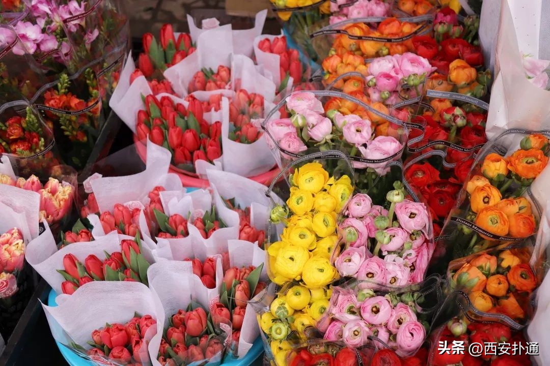 西安情人节去哪比较好,西安买花攻略