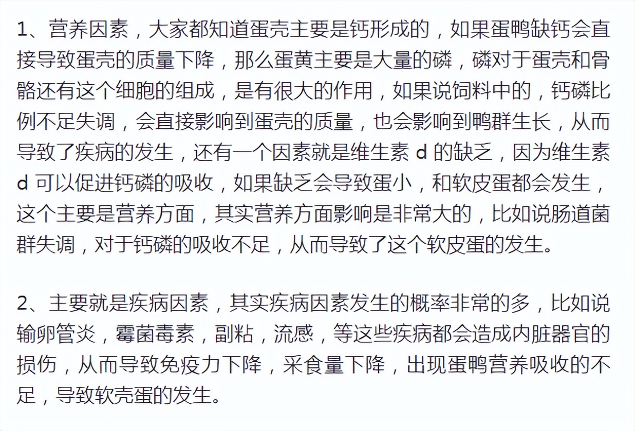 鸭子下软蛋是什么原因,鸭子下软蛋喂什么药