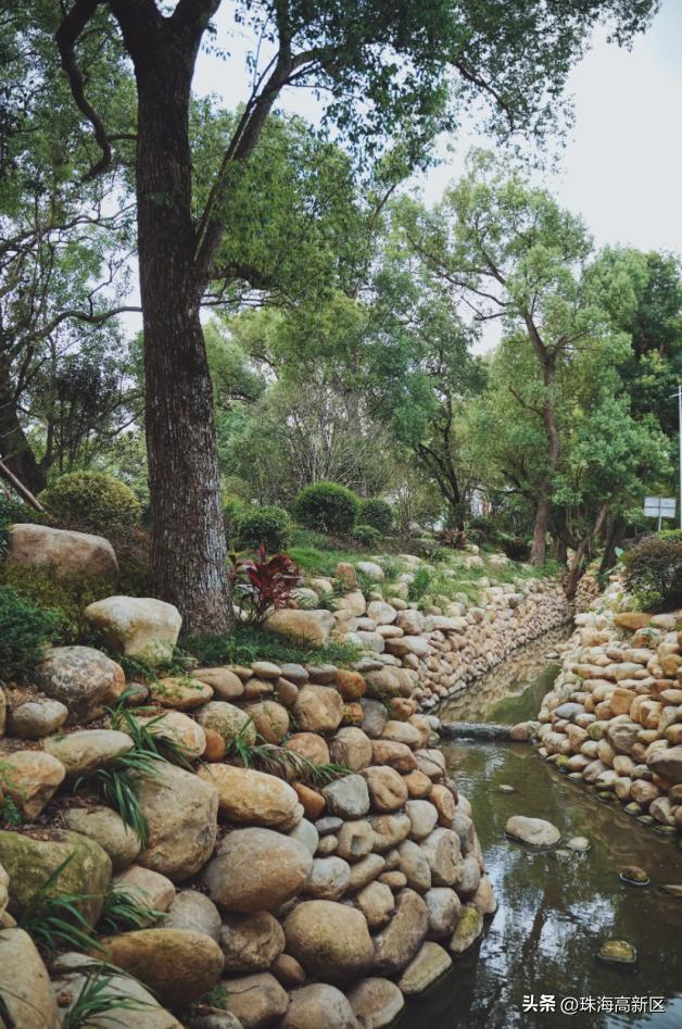 珠海十大古村排名,厉害珠海这个古村再获国字号荣誉