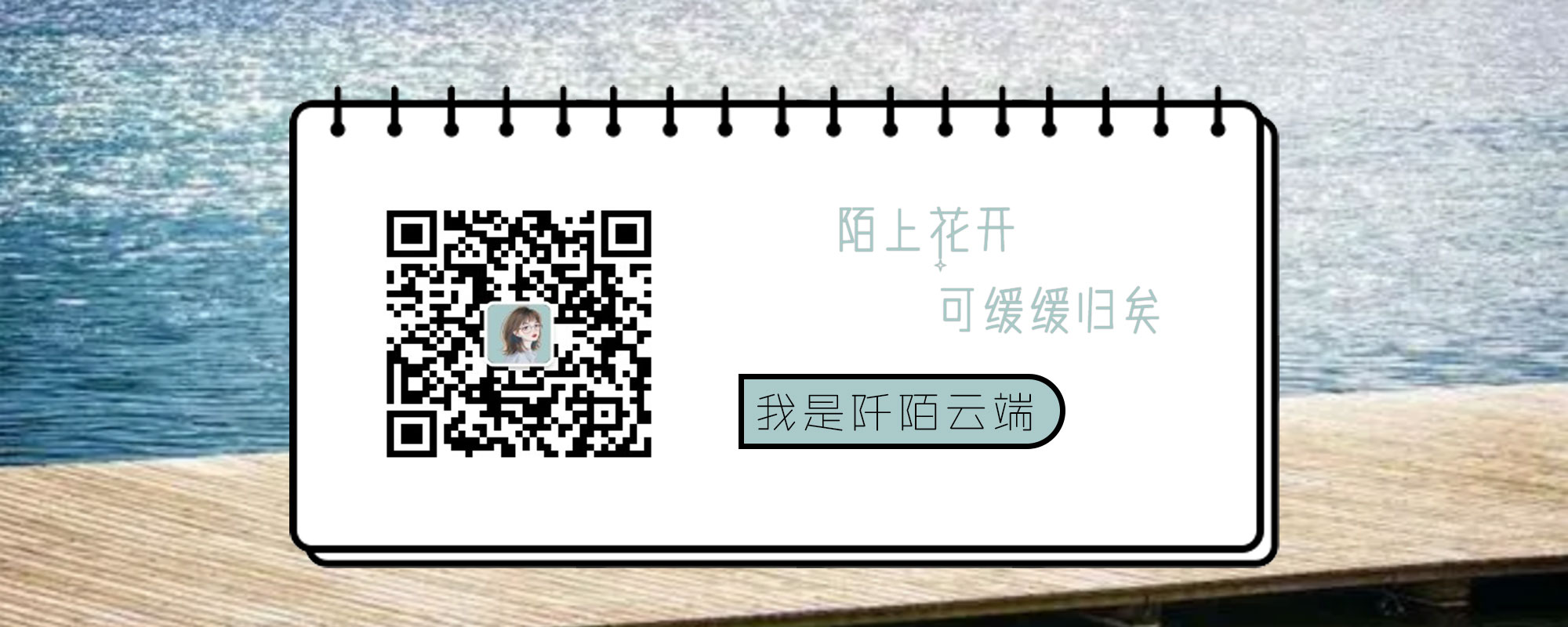 黑暗物质消失的猫片段,黑暗猫的故事