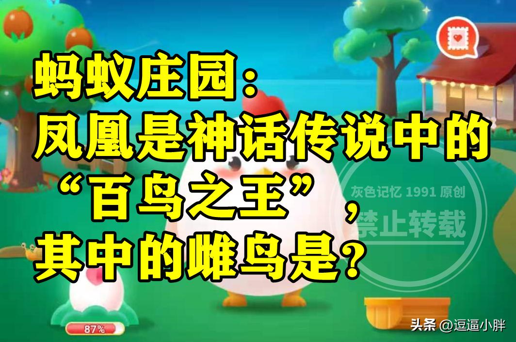 百鸟之王其中的雌鸟是凤还是凰,凤凰是百鸟之王其中雌鸟是什么