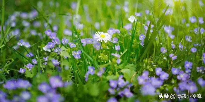 帕里黛，白血病维族女孩，我最好的闺蜜，你让我心疼得不能呼吸