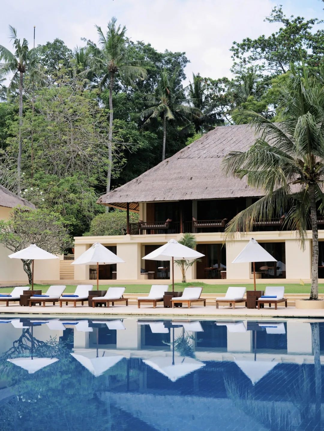 这可能是全球性价比最高的一家阿丽拉