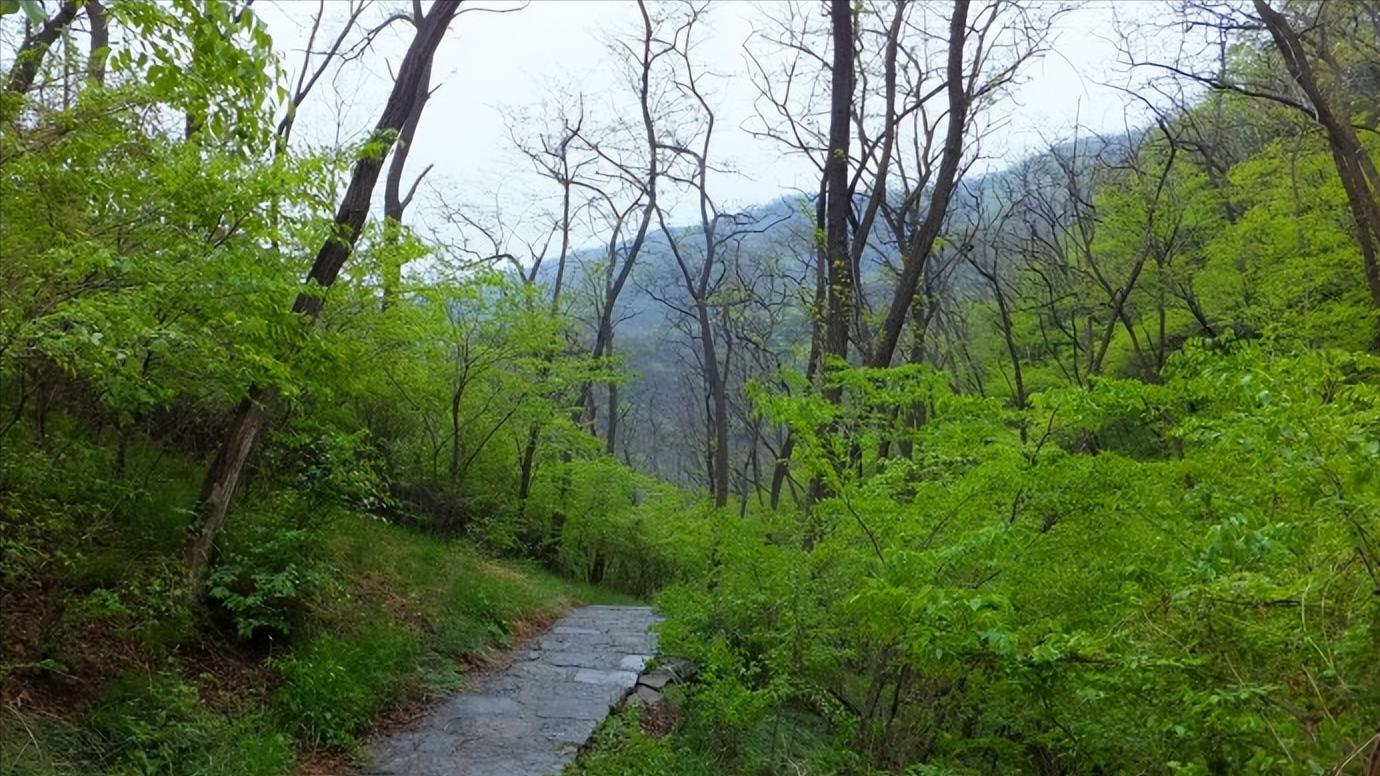 山东省滨州市详细介绍,山东省滨州有几个区及县