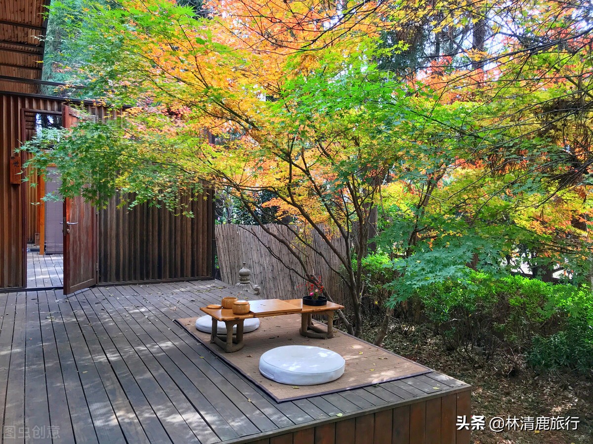 云南旅游住哪里比较好有温泉,云南省冬天暖和又有温泉的城市