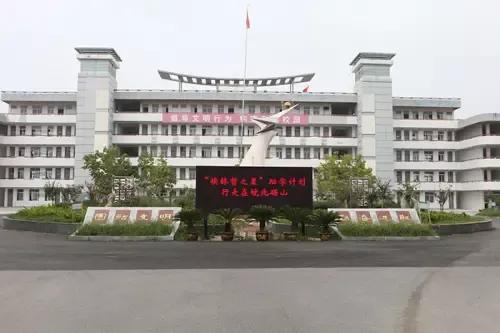 砀山中学第一名,砀山中学杀人案