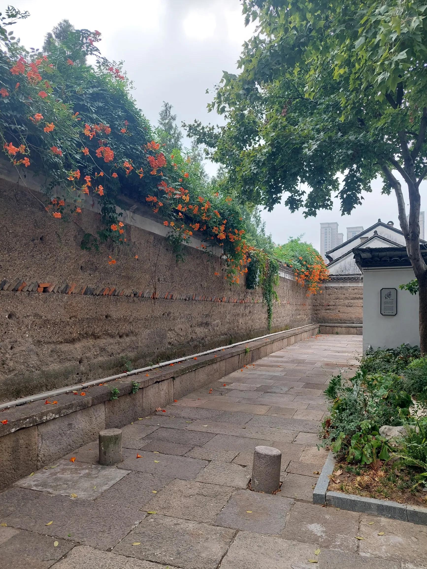 猪八戒职场生存法则,猪八戒的职场智慧