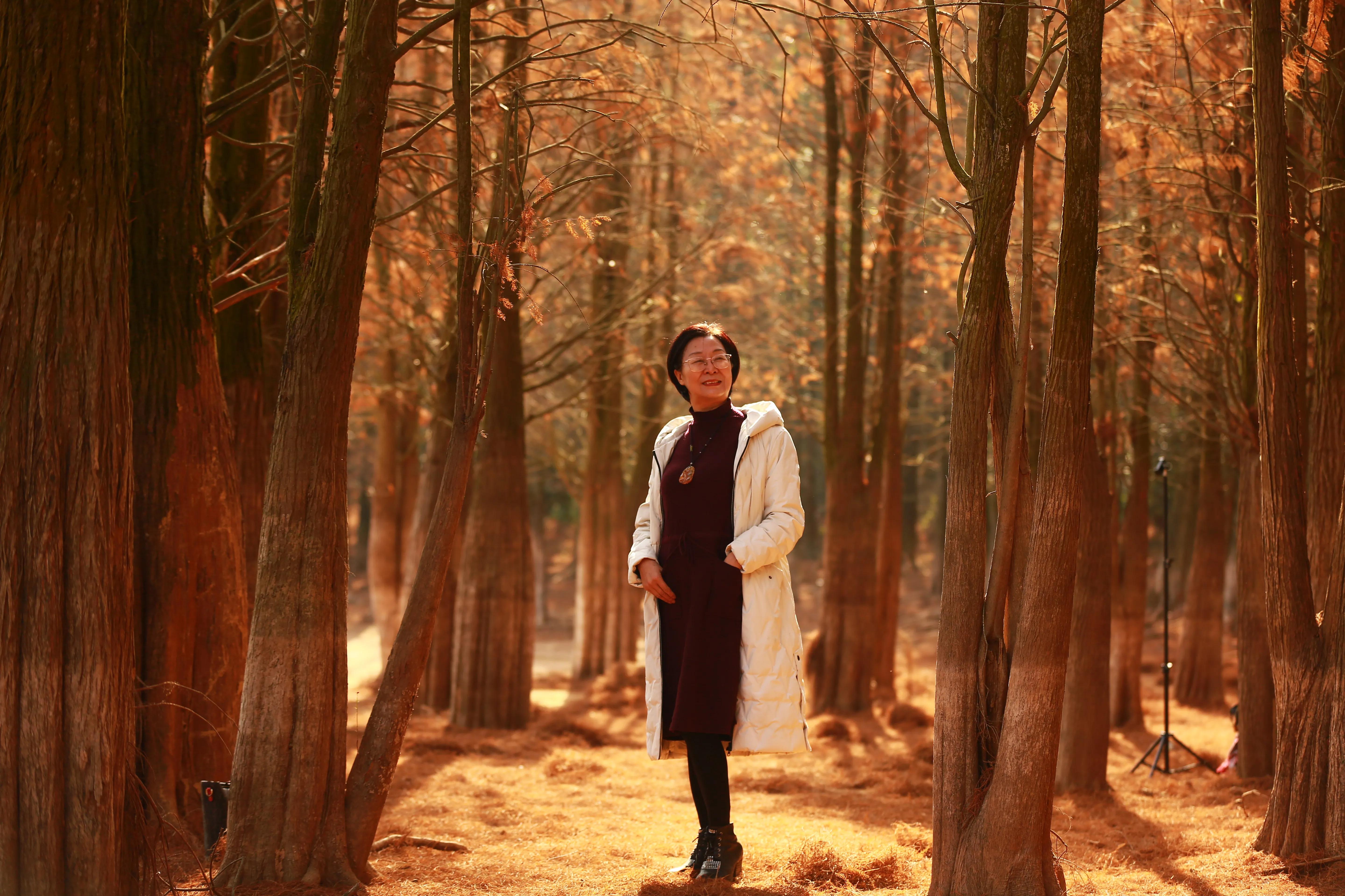 红杉林之恋,红杉林之恋完整版