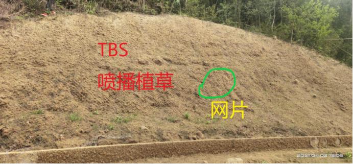 边坡支护劳务清包单价,边坡喷浆挂网清包多少钱一平米