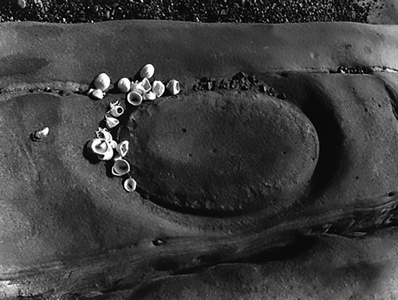 拍的照片好看怎么赞美,什么样的照片是好的摄影作品