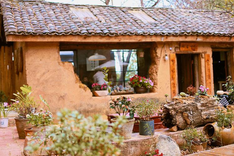 大理苍山洱海旅游攻略,苍山洱海大理旅游攻略