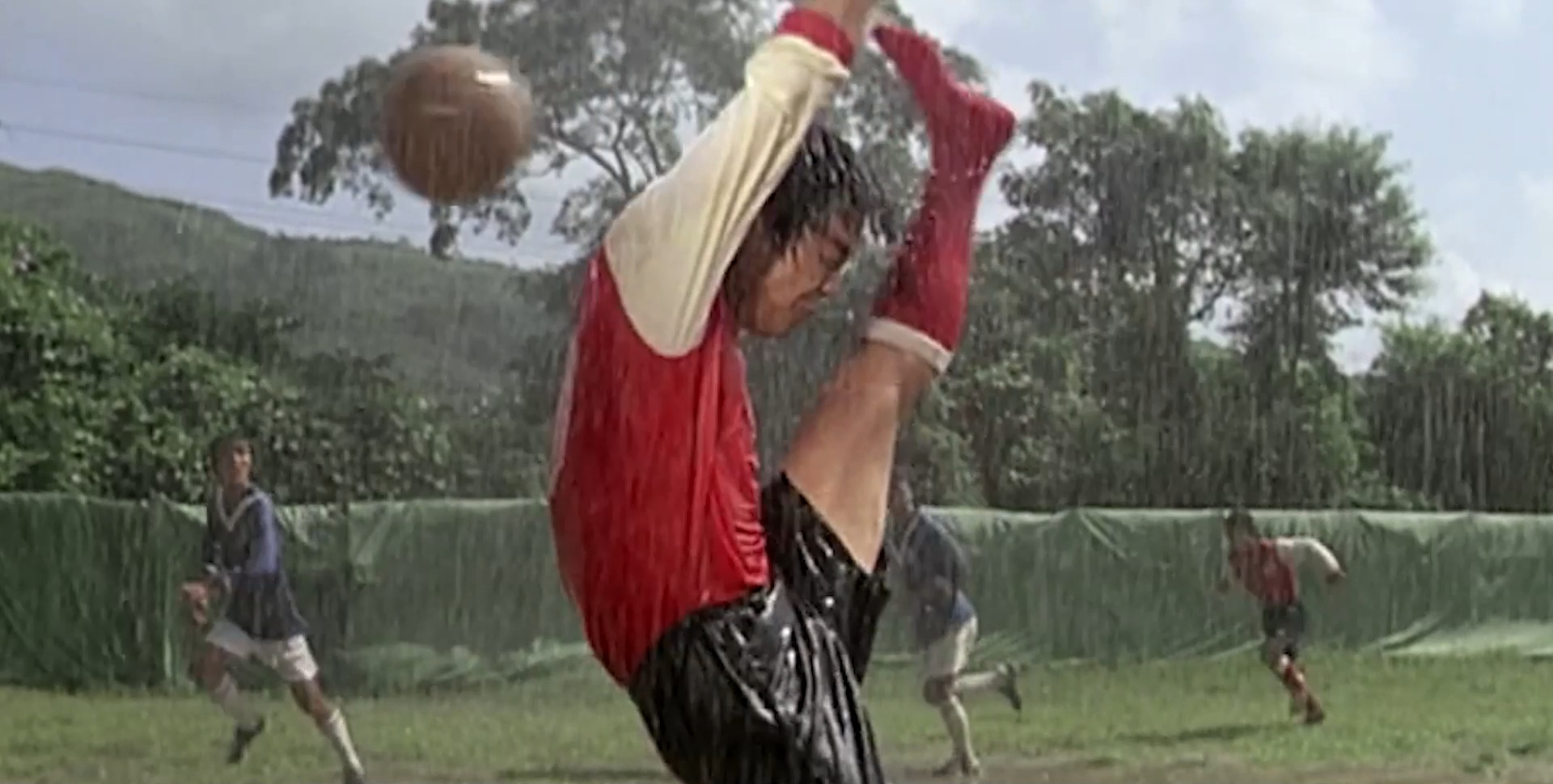 赶鸭子的小伙子,赶鸭的小伙