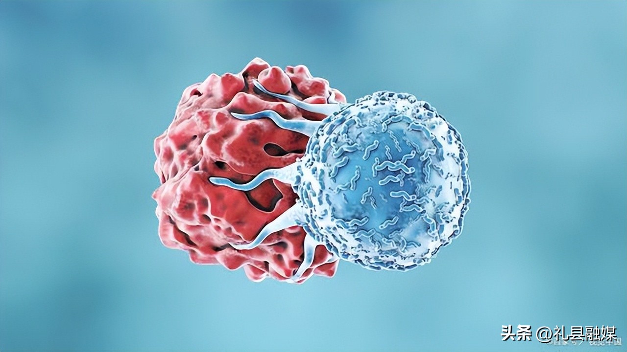 白头发的原因是什么引起的,白头发的主要原因是什么