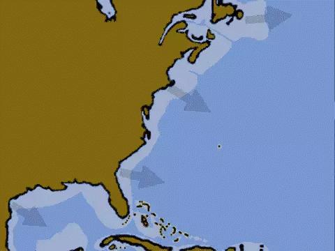 中国人种一脉相传?祖先并非来自非洲,而是本地的原住民