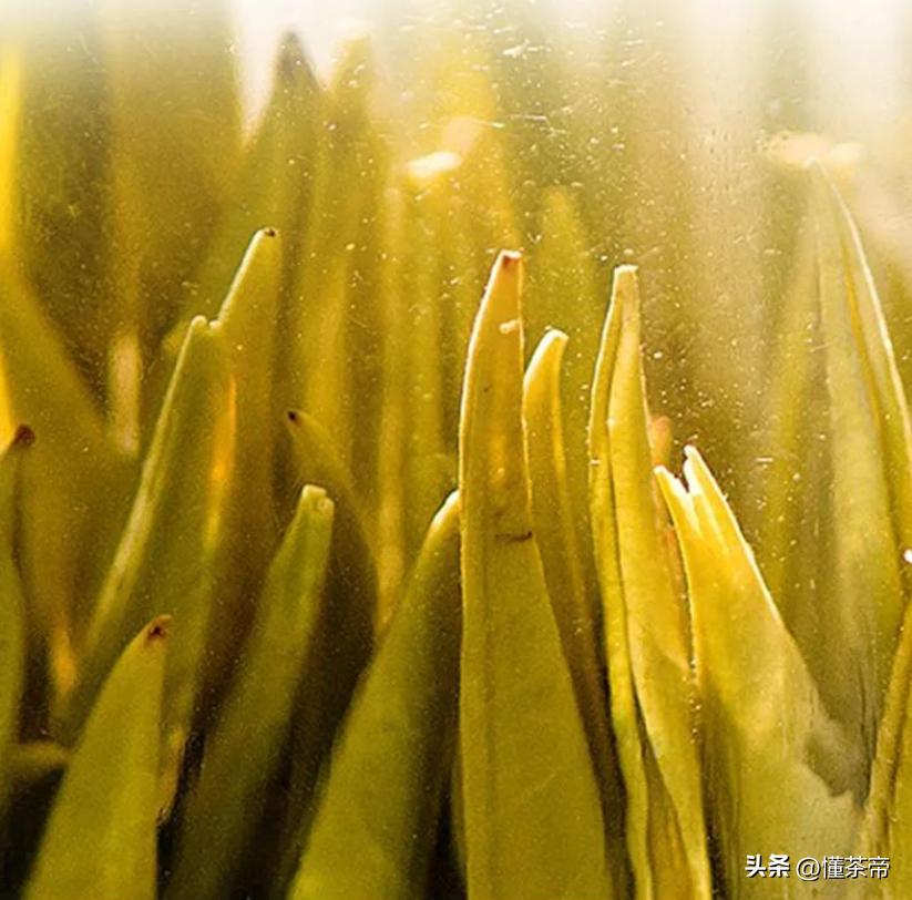 有关于六大茶类最全的知识,一张图了解六大茶类有哪些