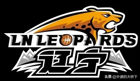 cba20-21赛季总决赛,cctv5直播辽宁本钢视频