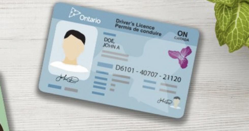 加拿大移民|超实用!加拿大本地购车攻略来啦~出行必备