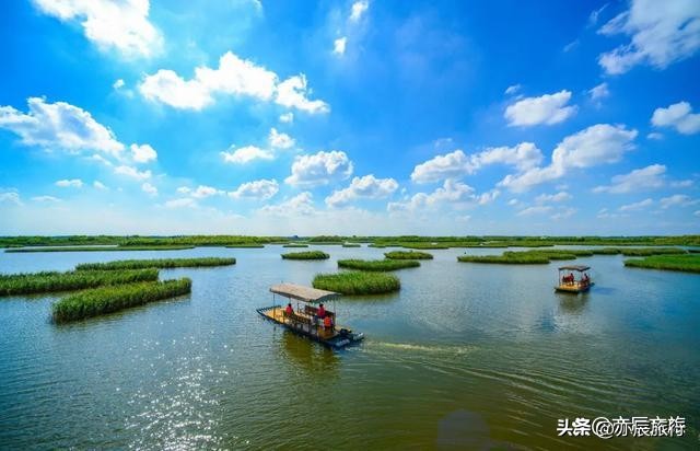 潍坊必去景点排行,潍坊市区旅游必去十大景点