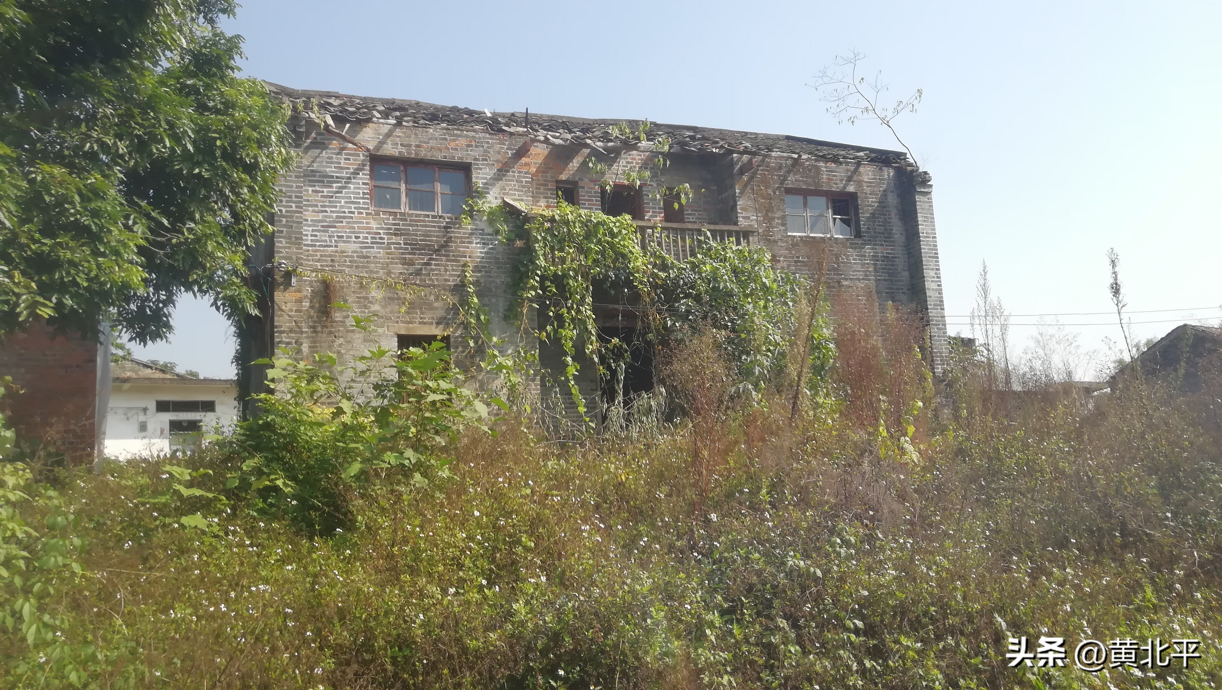 南宁隆安县那桐镇旅游景点,广西隆安那桐镇旅游村